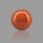 Anmol Red Coral